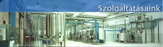 szolgaltatas